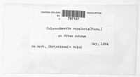 Image Associated With the Occurence